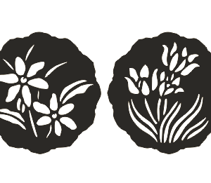 طرح وکتور دو گل