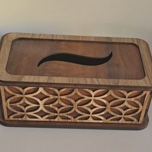 طرح وکتور جا دستمال کاغذی
